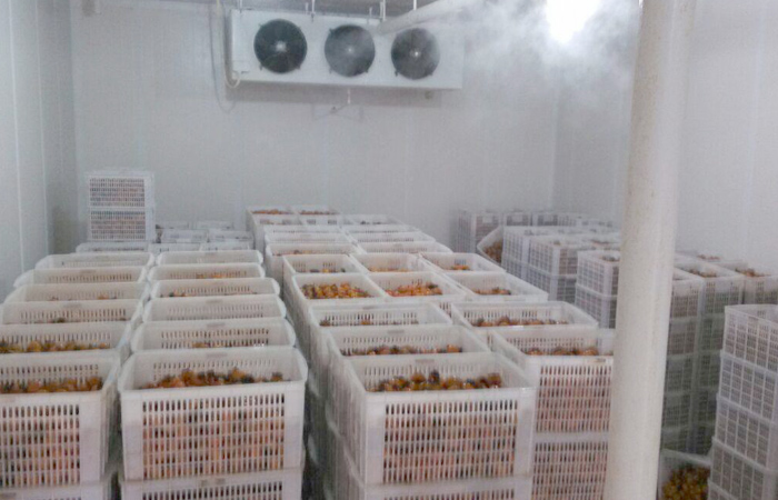 果蔬保鲜库建造