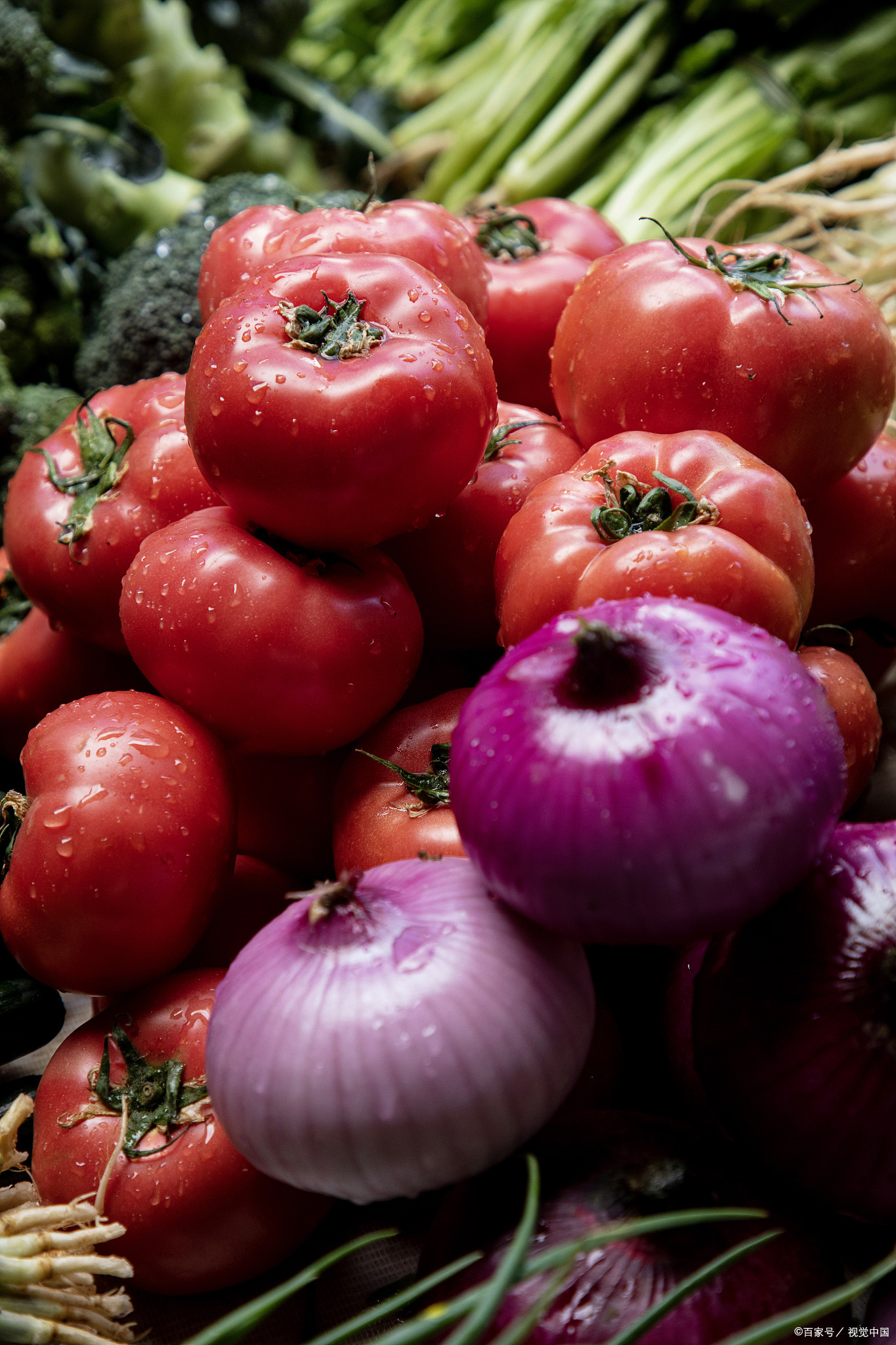 果蔬保鲜库建造