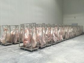 -18℃猪肉冷冻库建造工程造价