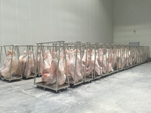 1-1FHG40023356 -18℃猪肉冷冻库建造工程造价-图片1