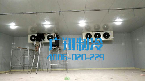 柬埔寨冷库-图片6