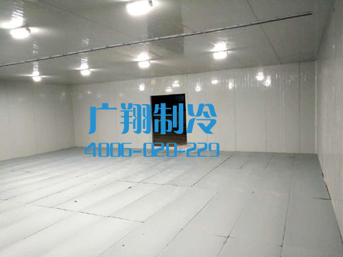 柬埔寨冷库-图片8