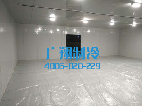 柬埔寨冷库-图片9