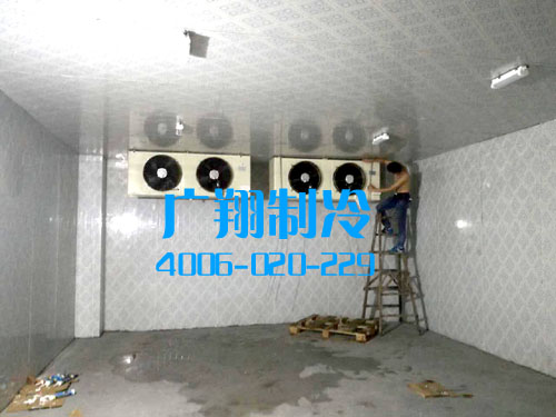 龙溪冷库-图片2