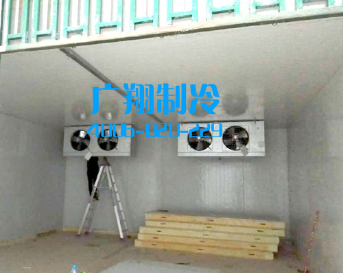 海南保亭冷库安装工程-图片10