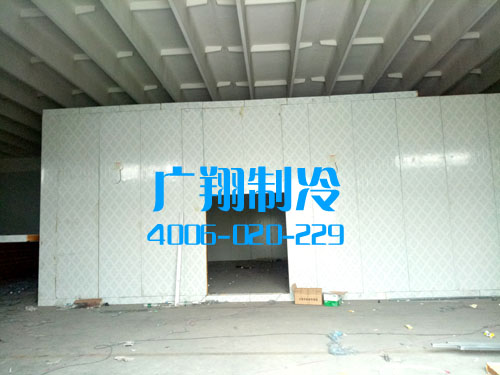 -60℃超低温蓝鳍金枪鱼冷库工程-图片6