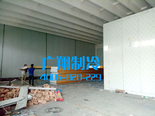 -60℃超低温蓝鳍金枪鱼冷库工程-图片2