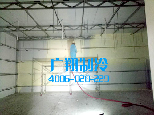 -60℃超低温蓝鳍金枪鱼冷库工程-图片4