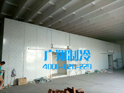 -60℃超低温蓝鳍金枪鱼冷库工程-图片8
