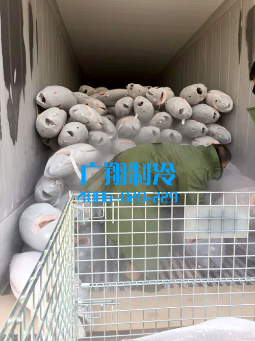 -60℃超低温蓝鳍金枪鱼冷库工程-图片24