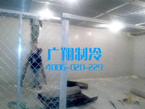 -60℃超低温蓝鳍金枪鱼冷库工程-图片14