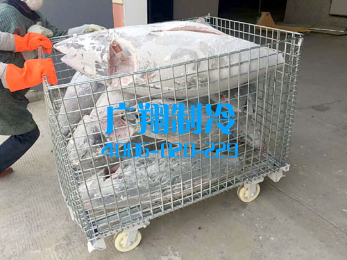 -60℃超低温蓝鳍金枪鱼冷库工程-图片26