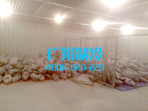 -60℃超低温蓝鳍金枪鱼冷库工程-图片29
