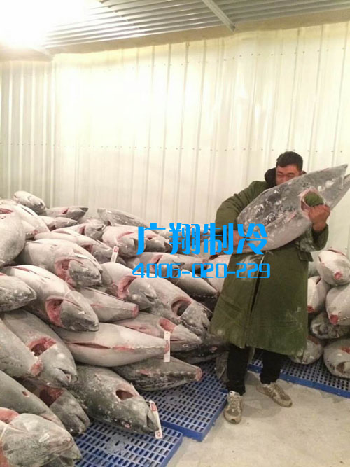 -60℃超低温蓝鳍金枪鱼冷库工程-图片30