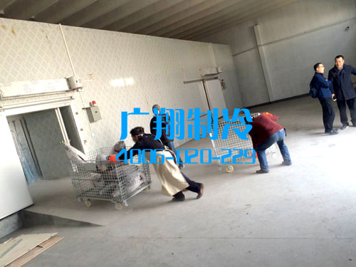 -60℃超低温蓝鳍金枪鱼冷库工程-图片27