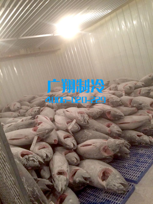 -60℃超低温蓝鳍金枪鱼冷库工程-图片28