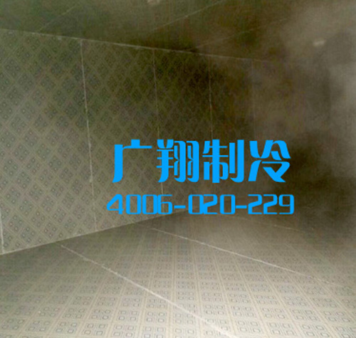 湖南长沙市望城区谢家冲冷库-图片1