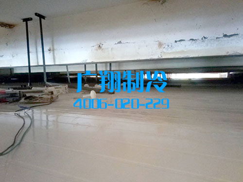 深圳福永龙王庙工业区冷库-图片4