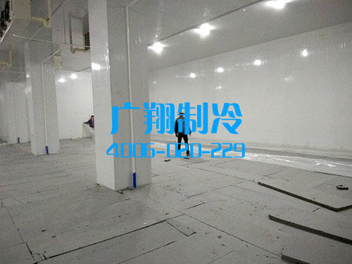 深圳福永龙王庙工业区冷库-图片20