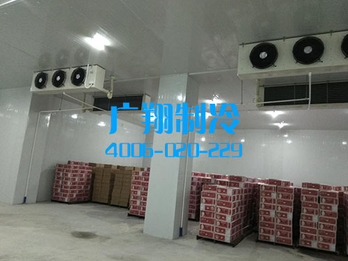 深圳福永龙王庙工业区冷库-图片26